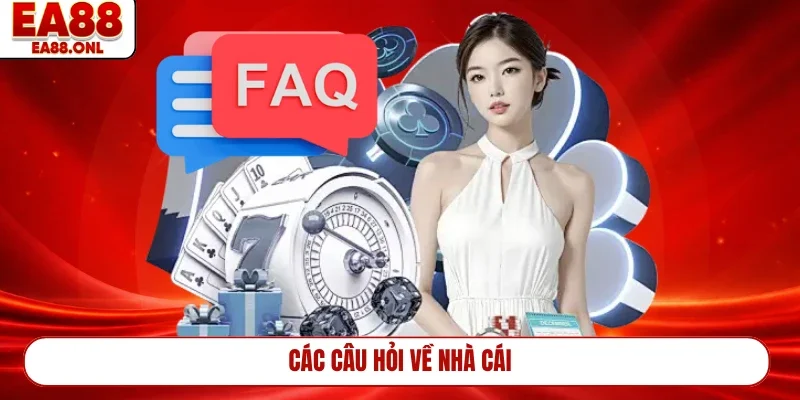 Các câu hỏi về nhà cái